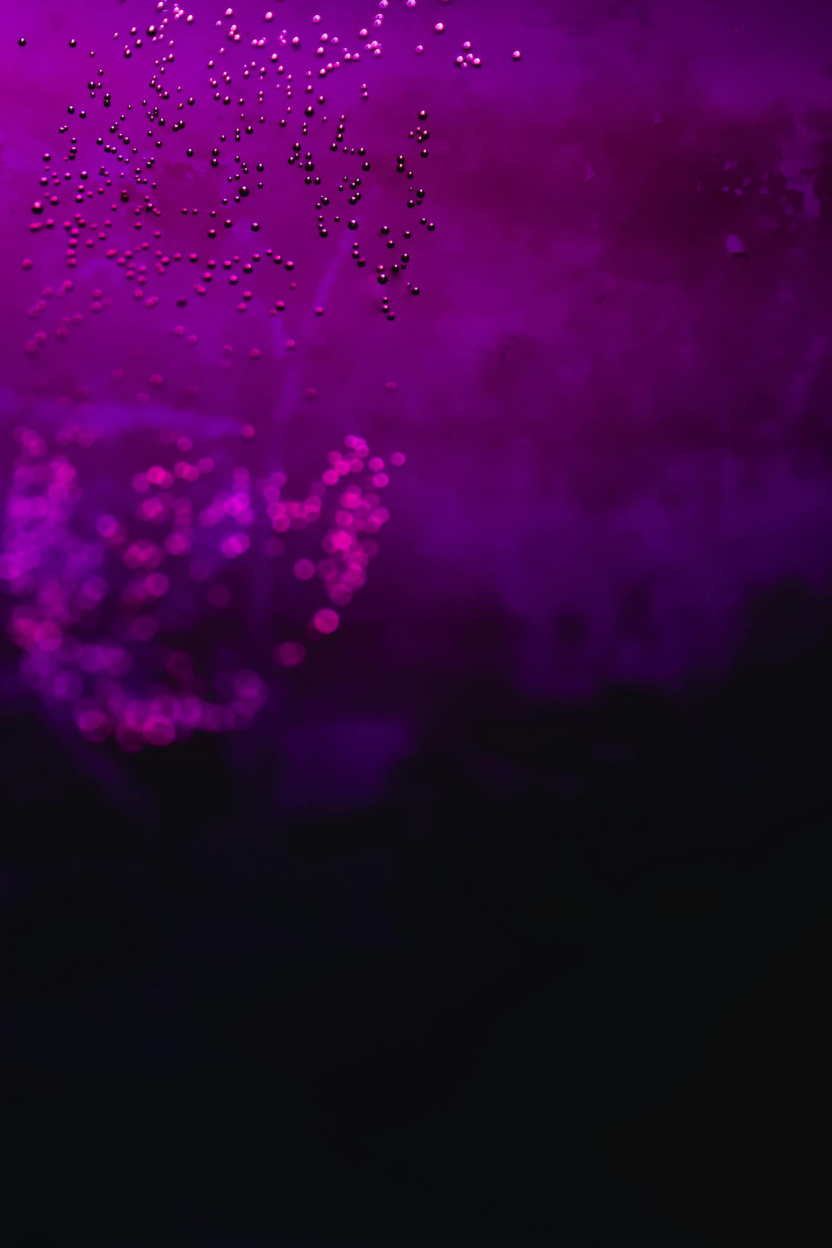 Close-up of vibrant purple liquid with delicate bubbles suspended in it.